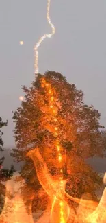 Tree struck by lightning with fiery glow in stunning mobile wallpaper.