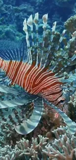 Lionfish gracefully swimming over coral reef with vibrant colors.