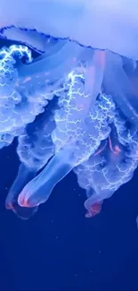 Vibrant blue jellyfish with luminescent tentacles on a deep ocean background.