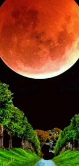 Lunar eclipse with a red moon over a tree-lined path, creating a stunning view.