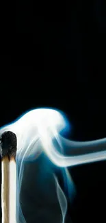 Matchstick with swirling smoke on dark background.