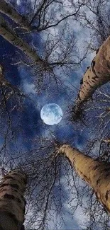 Moonlit night sky through forest trees wallpaper.