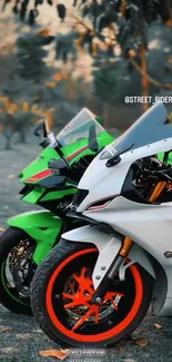 Close-up of two sleek motorbikes parked outdoors.