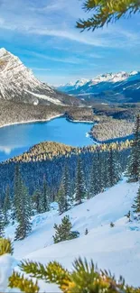 Mountain lake with snowy peaks and lush forest.