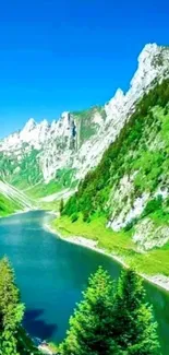 Breathtaking view of a mountain lake surrounded by lush greenery and rugged mountains.