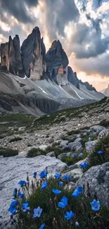 Mountain landscape with blue flowers and dramatic sky.
