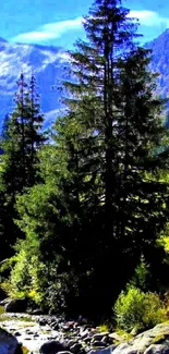 Lush green forest with mountains and blue sky in a serene landscape.