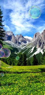 Lush green meadow with mountains and blue sky.