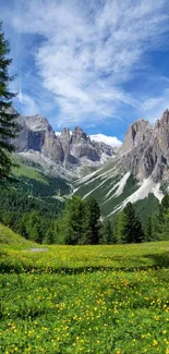 Mountain meadow with trees and blue sky