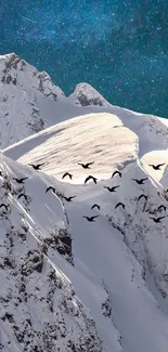 Snowy mountain with starry sky and flying birds wallpaper.