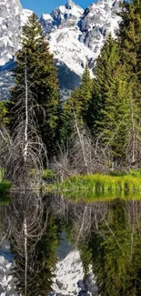 Snow-capped mountains reflecting in a tranquil lake surrounded by green forest.