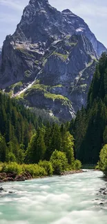 Majestic mountain river with lush forest background.