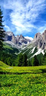 This wallpaper features a lush green meadow with majestic mountains under a blue sky.