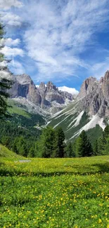 Vibrant mountain valley with wildflowers and a clear blue sky.