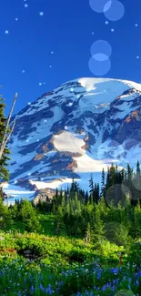 Snow-capped mountain with trees under a blue sky.