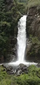 Majestic waterfall with lush greenery backdrop.