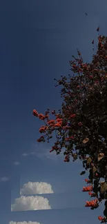 Nature wallpaper with a blue sky and vibrant orange flowers.