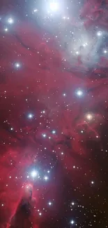 Bright stars shine in a red nebula galaxy.