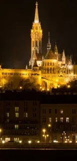 Illuminated castle at night with golden lights and dark sky.