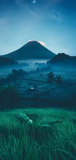 Night landscape with moonlit mountain and lush green fields.