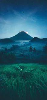 Serene night mountain view with starry sky and lush green foreground.