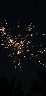 Night sky illuminated by vibrant fireworks display