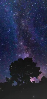 Silhouette against a starry night sky with the Milky Way galaxy visible.