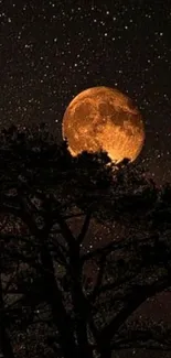 Beautiful night sky with moon and tree silhouette, dark background.