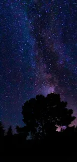 Starry night sky with Milky Way visible.