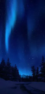 Dark blue night sky with aurora borealis over a forest.