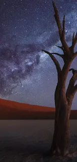 Starry night sky with lone tree in desert landscape wallpaper.