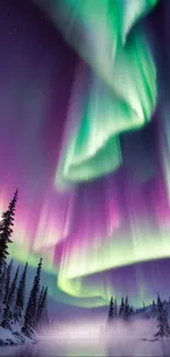 Vibrant green and purple aurora over snowy landscape with pine trees.