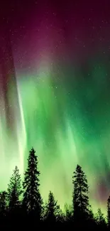 Vibrant Northern Lights over trees wallpaper.