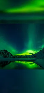 Beautiful Northern Lights over snowy landscape at night.