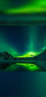 Beautiful Northern Lights illuminating snowy mountains at night.