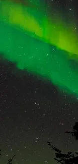 Vivid green aurora lights over starlit night sky.