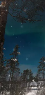 Vibrant Northern Lights over snowy forest under starlit sky.