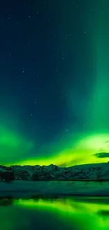 Emerald aurora lights over snowy mountains at night.