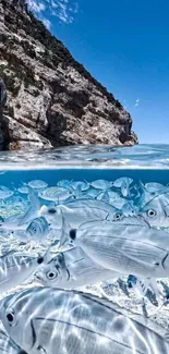 Ocean view with rocky shore and shimmering fish in clear water.