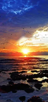 Beautiful ocean sunset with birds over the sea.