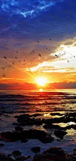 Stunning ocean sunset with vibrant colors and sea birds in the sky.