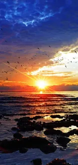 Scenic ocean sunset with vibrant colors and silhouettes of birds on the horizon.