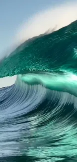 Dynamic turquoise ocean wave crashing beautifully.