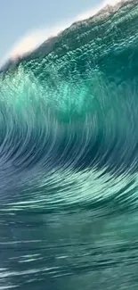 A stunning large ocean wave captured in motion.