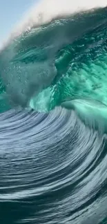 Captivating ocean wave rising beautifully.