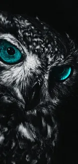 Owl portrait with teal eyes on dark background.