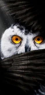 Close-up of owl's golden eyes peering through dark wings on a mobile wallpaper.