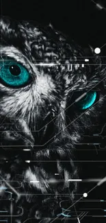 Dark owl wallpaper with striking teal eyes.