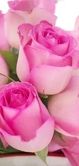 Beautiful pink rose bouquet wallpaper for mobile.