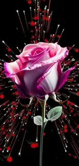 Vibrant pink rose with abstract background.